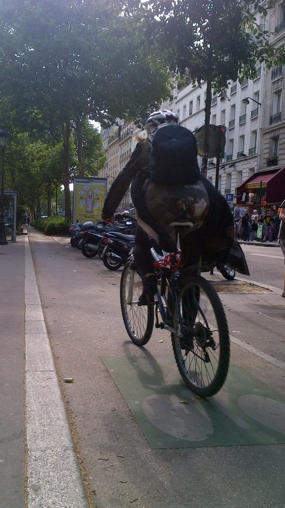 Cyclist on Boulevard de Rochechouart, Paris, July, 21, 2012 