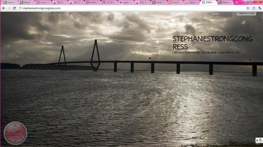 Stephanie Strong for Congress home page