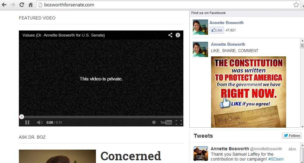 Screen cap, BosworthforSenate.com, 2013.11.18, showing campaign video gone to static.