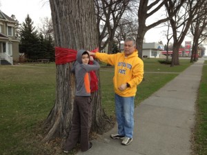 Nathan Cole-Dai and his dad Jihong tie a red ribbon to a tree on Sixth Street in Brookings to raise public awareness of a Department of Transportation plan to remove trees and boulevards to widen the street. Photo by Phyllis Cole-Dai, April 2014.