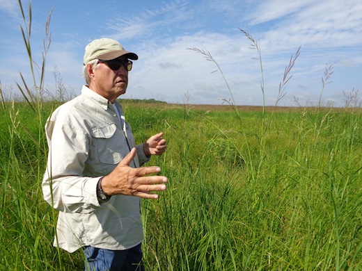 Carter Johnson explains the botany and hydrology of one of the many wetlands amidst the prairie grasses on the farm. (2014.08.21)